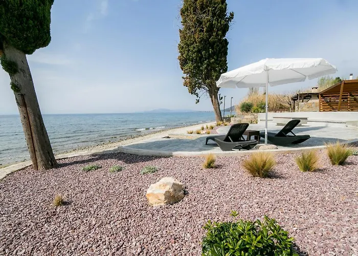 Mermaid Beachfront 公寓 *